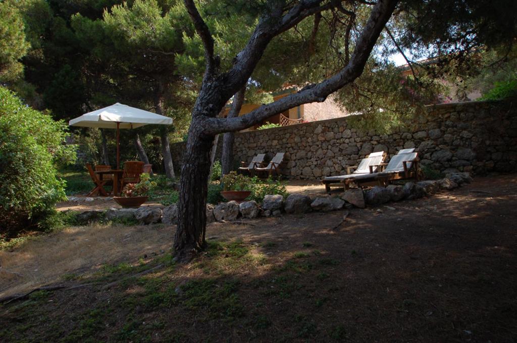 Animosque Giannutri Bed and Breakfast Buitenkant foto